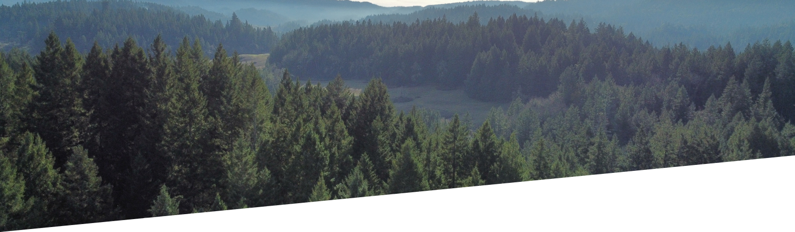 inner-banner-img